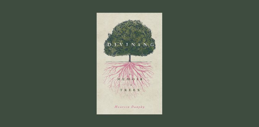 The front cover of the book Divining, A Memoir in Trees by Maureen Dunphy