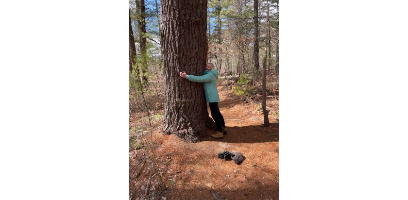 One Woman, One Day, and the Fate of Many Trees